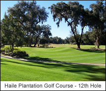 Haile Plantation Golf Course - 12th Hole
